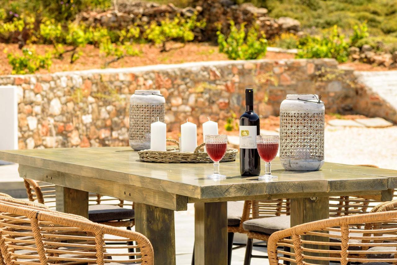 Alikí Paros Villa Blue Senses מראה חיצוני תמונה