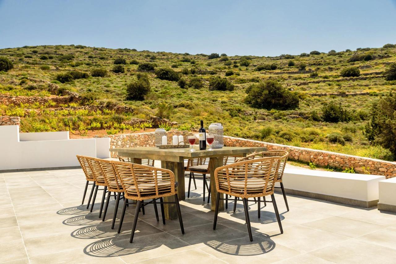 Alikí Paros Villa Blue Senses מראה חיצוני תמונה